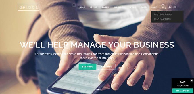 bridge wordpress主题