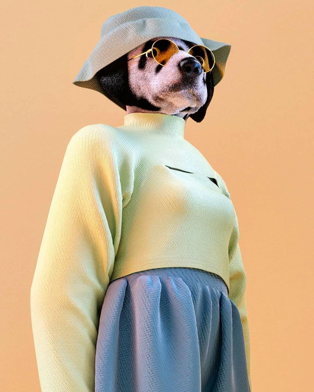 Cabeza Patata情侣设计师强强联手：女生平面插画，男生3D设计