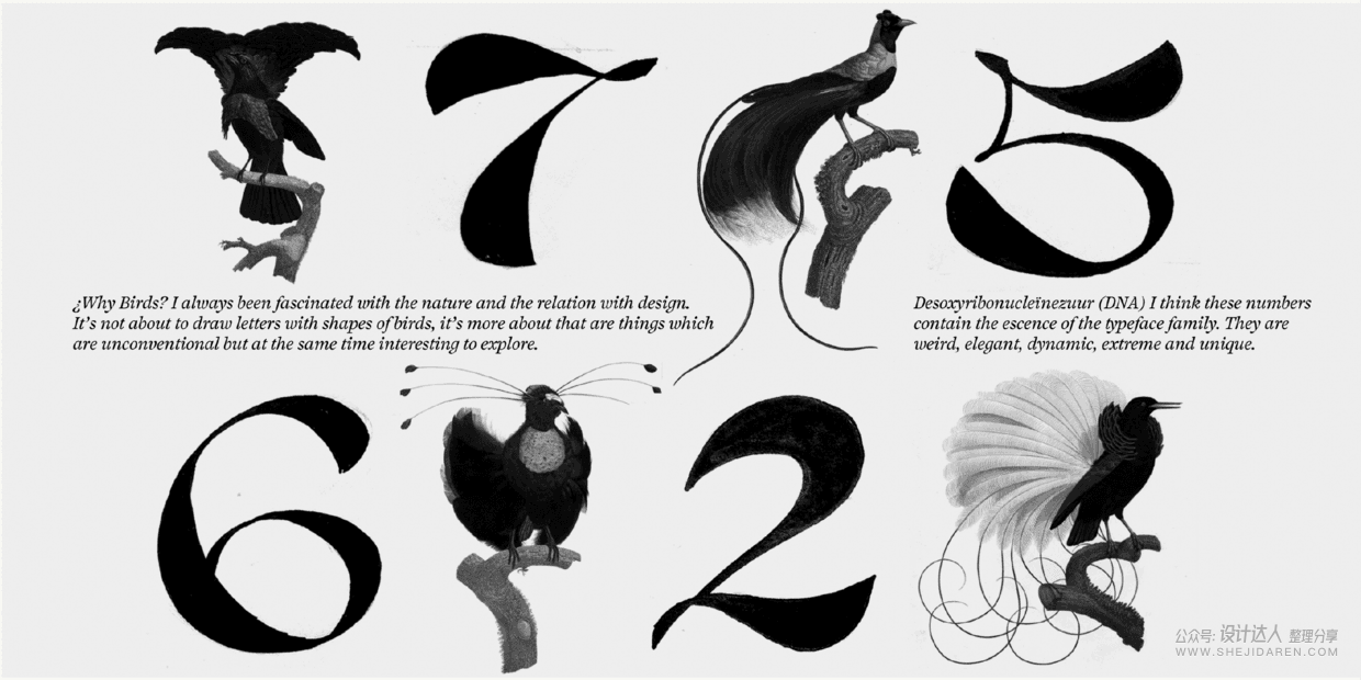 小众而时髦的逆反差字体，你值得拥有